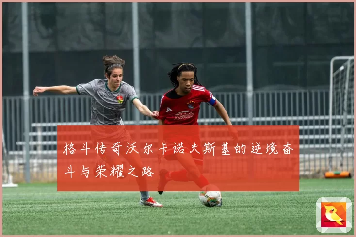 格斗传奇沃尔卡诺夫斯基的逆境奋斗与荣耀之路