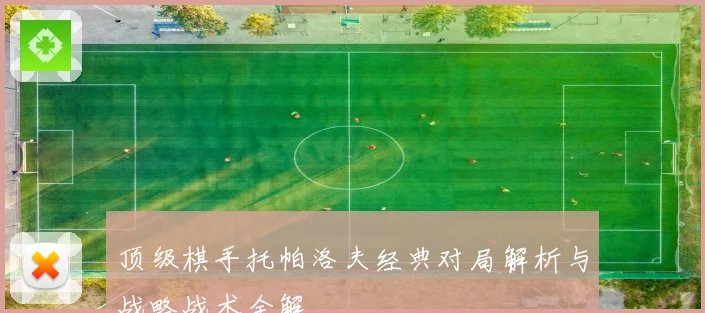 顶级棋手托帕洛夫经典对局解析与战略战术全解