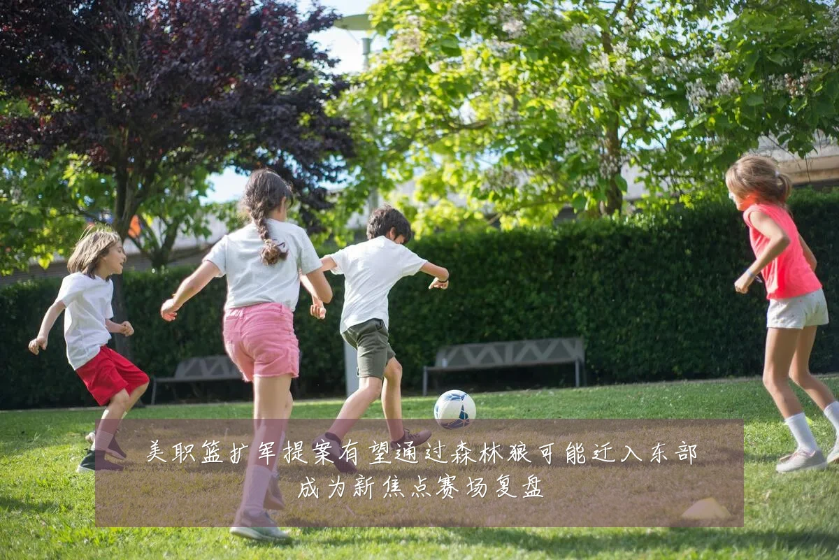 美职篮扩军提案有望通过森林狼可能迁入东部成为新焦点赛场复盘