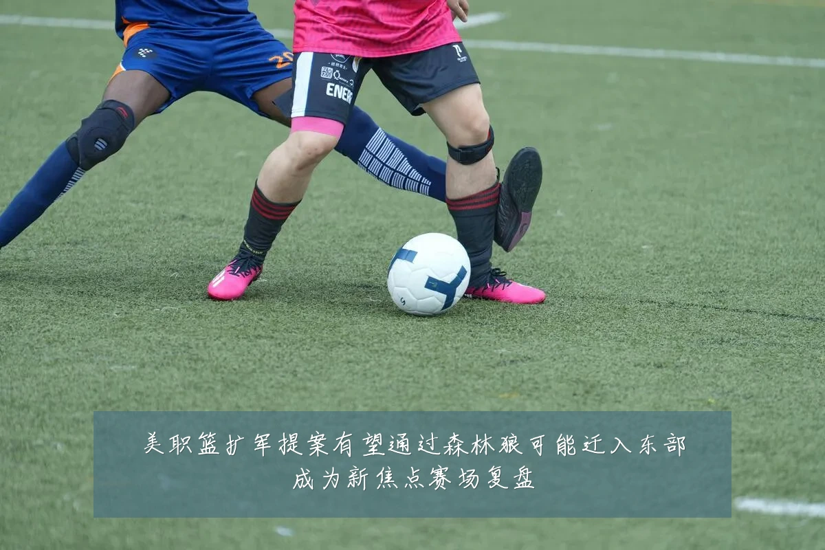 美职篮扩军提案有望通过森林狼可能迁入东部成为新焦点赛场复盘
